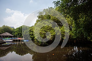 The atmosphere is cool and calming in the Mangrove Nature Tourism Park Area in Muara Angke, Pantai Indah Kapuk, Jakarta