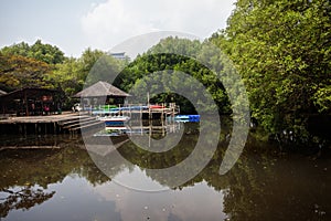 The atmosphere is cool and calming in the Mangrove Nature Tourism Park Area in Muara Angke, Pantai Indah Kapuk, Jakarta photo