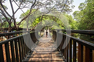 The atmosphere is cool and calming in the Mangrove Nature Tourism Park Area in Muara Angke, Pantai Indah Kapuk, Jakarta photo