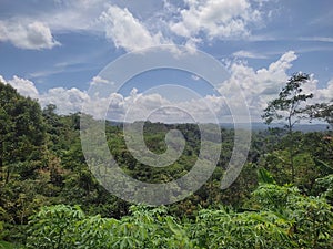 The atmosphere during the day in a beautiful and cool countryside