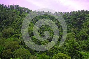 The atmosphere of the morning around the waterfall coban pelangi hill photo