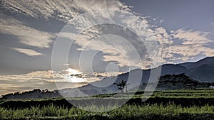 the atmosphere of rice fields and forests in the morning