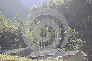 Atmosphere in the rural village of Gunung Kawi Malang, East Java