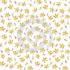 Atmospheric autumn watercolor seamless pattern with falling maple and poplar leaves dedicated to school and the day of knowledge