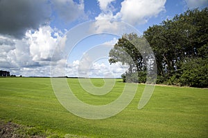 Atmospheric and deep blue sky above landscape of professional grass mats growing in the Netherlands