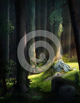 Atmospheric and enchanting fantasy fairy tale forest photo