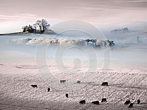 Atmospheric frozen Prairie