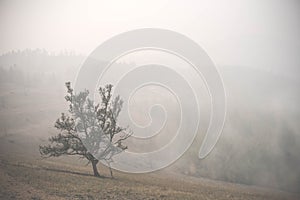 Atmospheric landscape of the Olkhon island under the fog in summer 2015. Lake Baikal, Russian Siberia