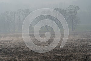 Atmospheric landscape, where fog envelops farmland with trees in the background