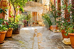 An atmospheric old town street with lots of flowers in pots, Crete, Chania