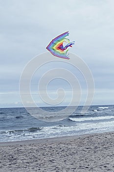 atmospheric photo of a kite fluttering in the air on a beach