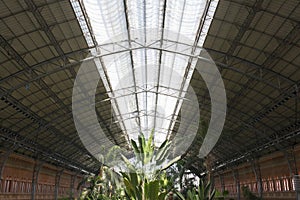 Atocha Train Station, Madrid