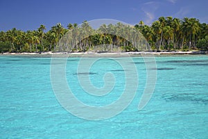 Atoll Rangiroa in French Polynesia