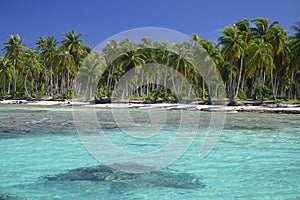 Atoll Rangiroa in French Polynesia