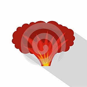Atomical explosion icon, flat style