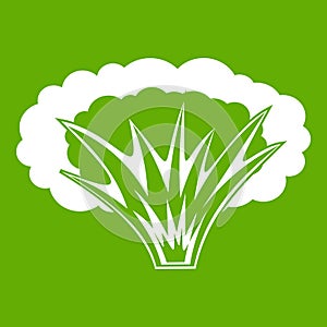 Atomical explosion icon green