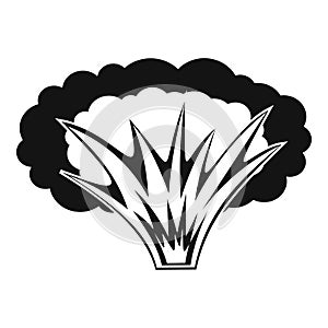 Atomical explosion icon, simple style