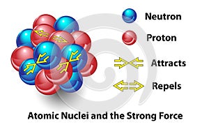 Atomic Nucleus and the Strong Force