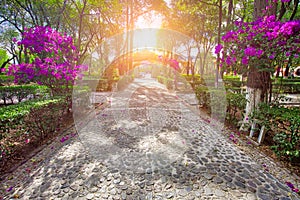 Atrium of Olives Atrio de los Olivos park in front of Francisco Javier Church in Tepotzotlan photo