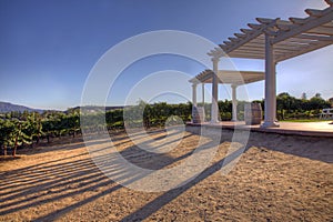 Atrium Over Looking Wine Field