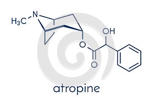 Atropine deadly nightshade Atropa belladonna alkaloid molecule. Medicinal drug and poison also found in Jimson weed Datura.