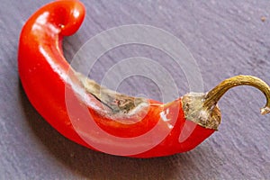 Attacked red pepper by a plant pathogen