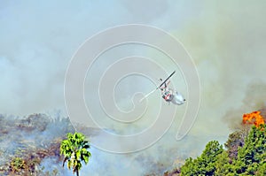 Attacking the Wildfire