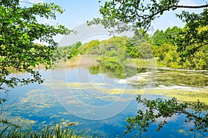 Attenborough reserve, England