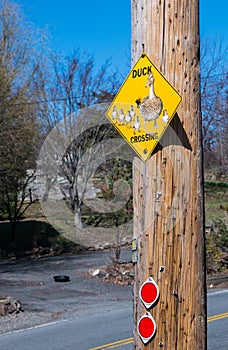 Attention! Duck crossing road sign