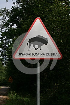 Attention! Land of Bisons - Polish traffic sign