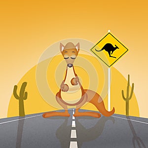 Attention to the crossing of kangaroos