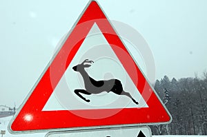Attention wildlife crossing traffic sign
