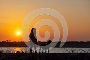 A girl walks with a friend - a guard dog of the Rottweiler breed against the backdrop of a lake and sunset