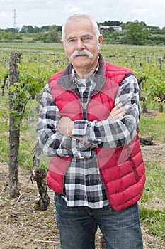Attentive elderly man outdoors in wineyards
