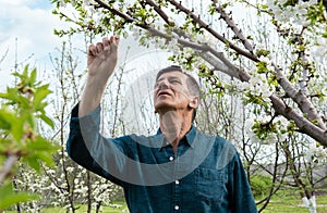 Attentive old man looking up while inspecting garden