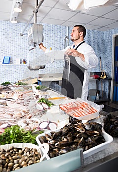 attentive seller in black apron holding fish and looking at scales