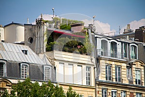 Attic balcony with many green plants on the top floor of a building in the historical center of Paris