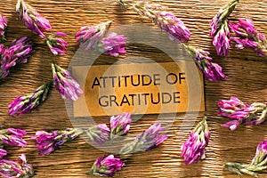 ATTITUDE OF GRATITUDE