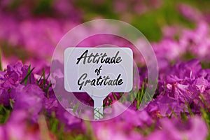 Attitude of gratitude quote.