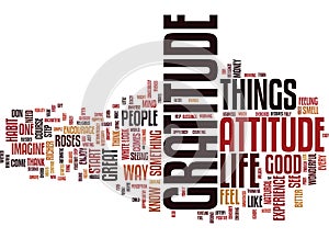 Attitude Of Gratitude Word Cloud Concept