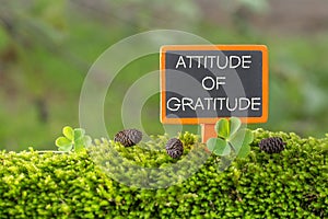 Attitude of gratitude text on small blackboard