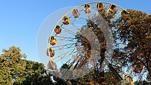 Attraction ferris wheel in a summer green park