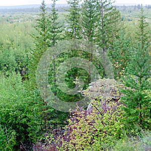 Attractions Yakutia isolated massif of rock - clay mushroom in the wild taiga.