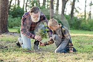 Attractive bearded senior grandfather with his lovely grandson on green lawn planting oak seedling and pour with water.