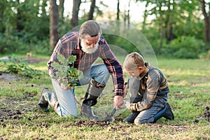 Attractive bearded senior grandfather with his lovely grandson on green lawn planting oak seedling and pour with water.