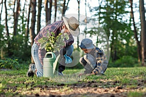 Attractive bearded senior grandfather with his lovely grandson on green lawn planting oak seedling and pour with water.