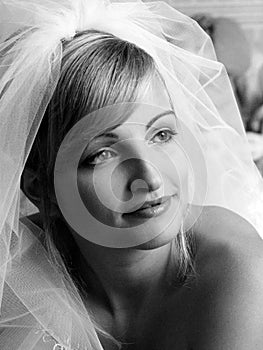 Attractive bride with veil