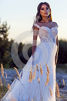 Attractive brunette woman with makeup and hairstyle wearing white wedding dress while posing at glade. standing and looking at