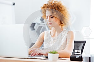 Attractive business woman working with laptop in office photo