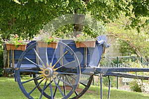 An attractive cart with flowers